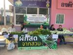 โครงการส่งเสริมการลดใช้สารเคมีในการผลิตเพื่อความปลอดภัยในการ