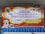 โครงการความร่วมมือการรณรงค์ป้องกันโรคพิษสุนัขบ้า ภายใต้โครงก